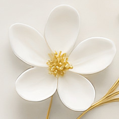 Flowers and butterflies