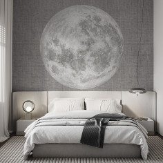 Moon, grey