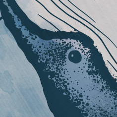 Whale Ocean