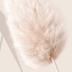 Warm wind, beige
