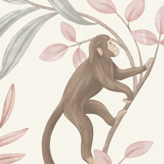 Monkey Adventures, Pink