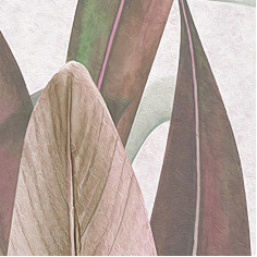 Light Leaves