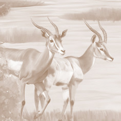 Nature Balance, Sepia