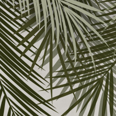 Palm leaves