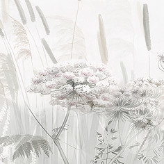 Wildflowers