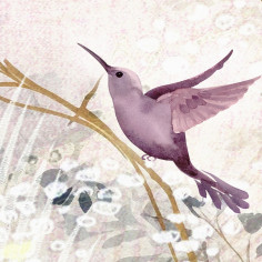 Leaves Branches