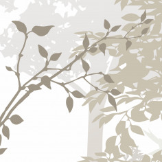 Tree branches