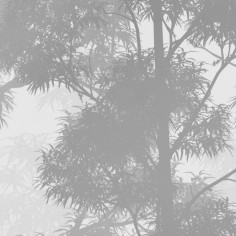 Woody landscape, grey