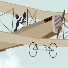 Фотообои Funny Flight, Planes