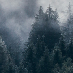 Alpine morning