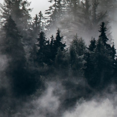 Alpine morning