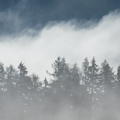 Alpine morning
