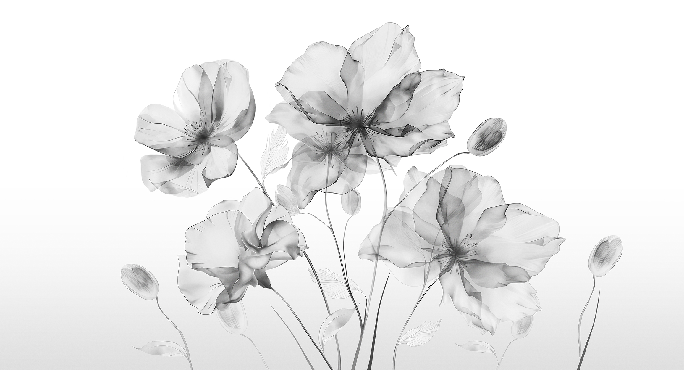 Watercolor flowers