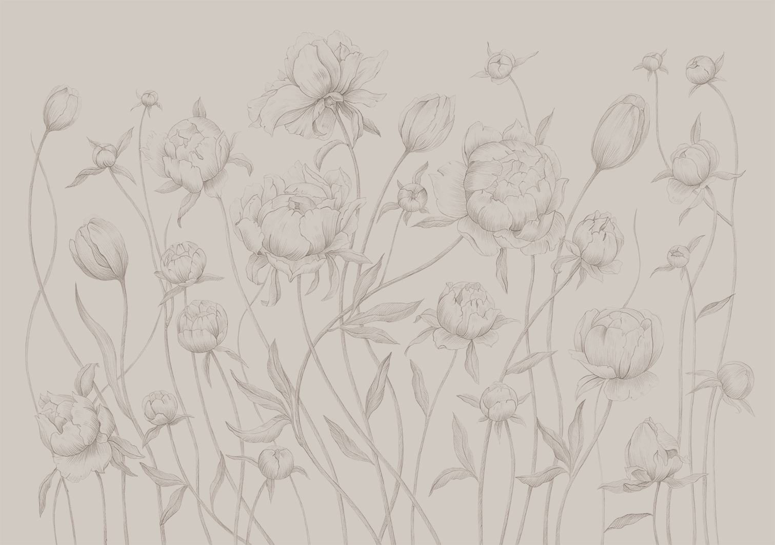 Sketch of flowers, Beige