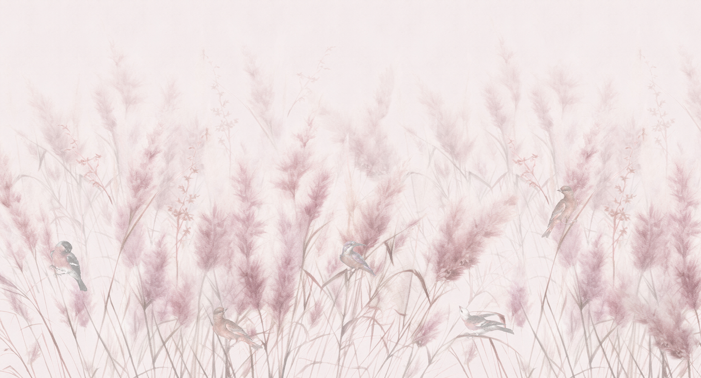Ears of wheat, pink