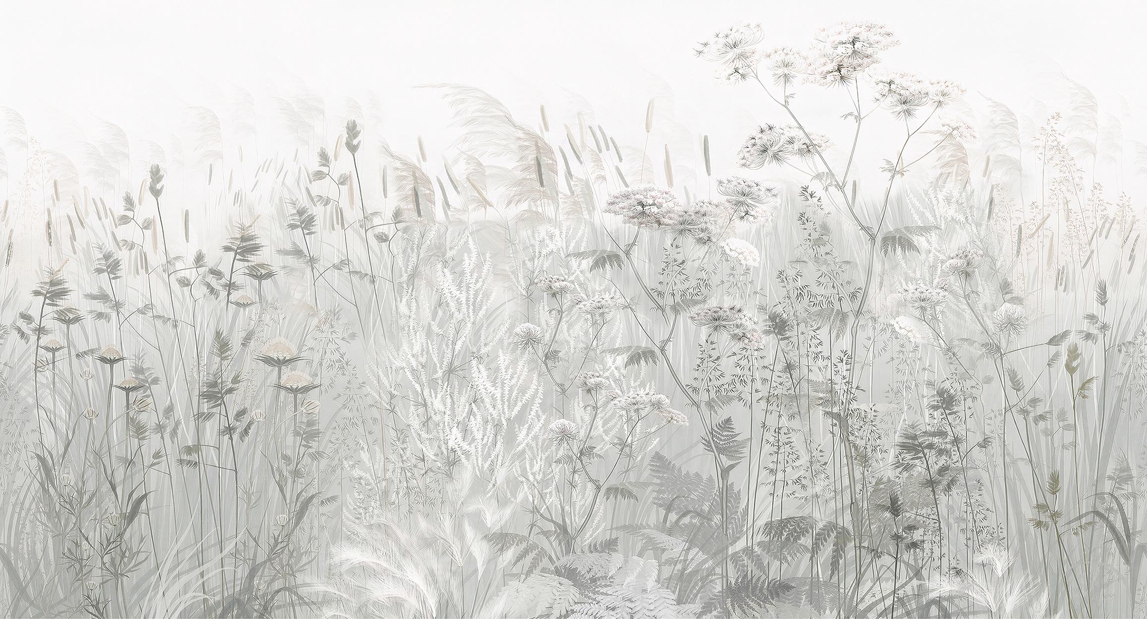 Wildflowers