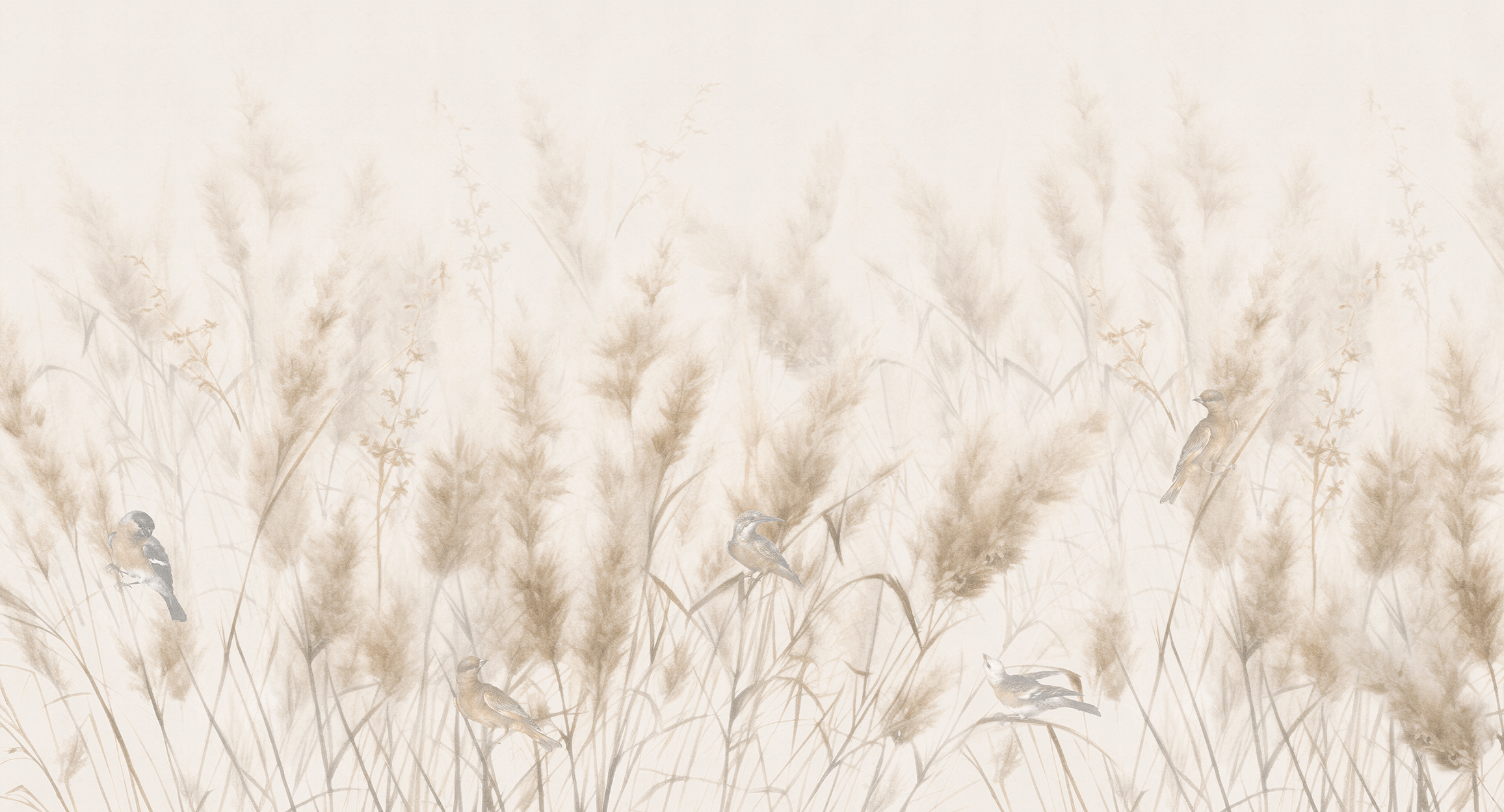Ears of wheat