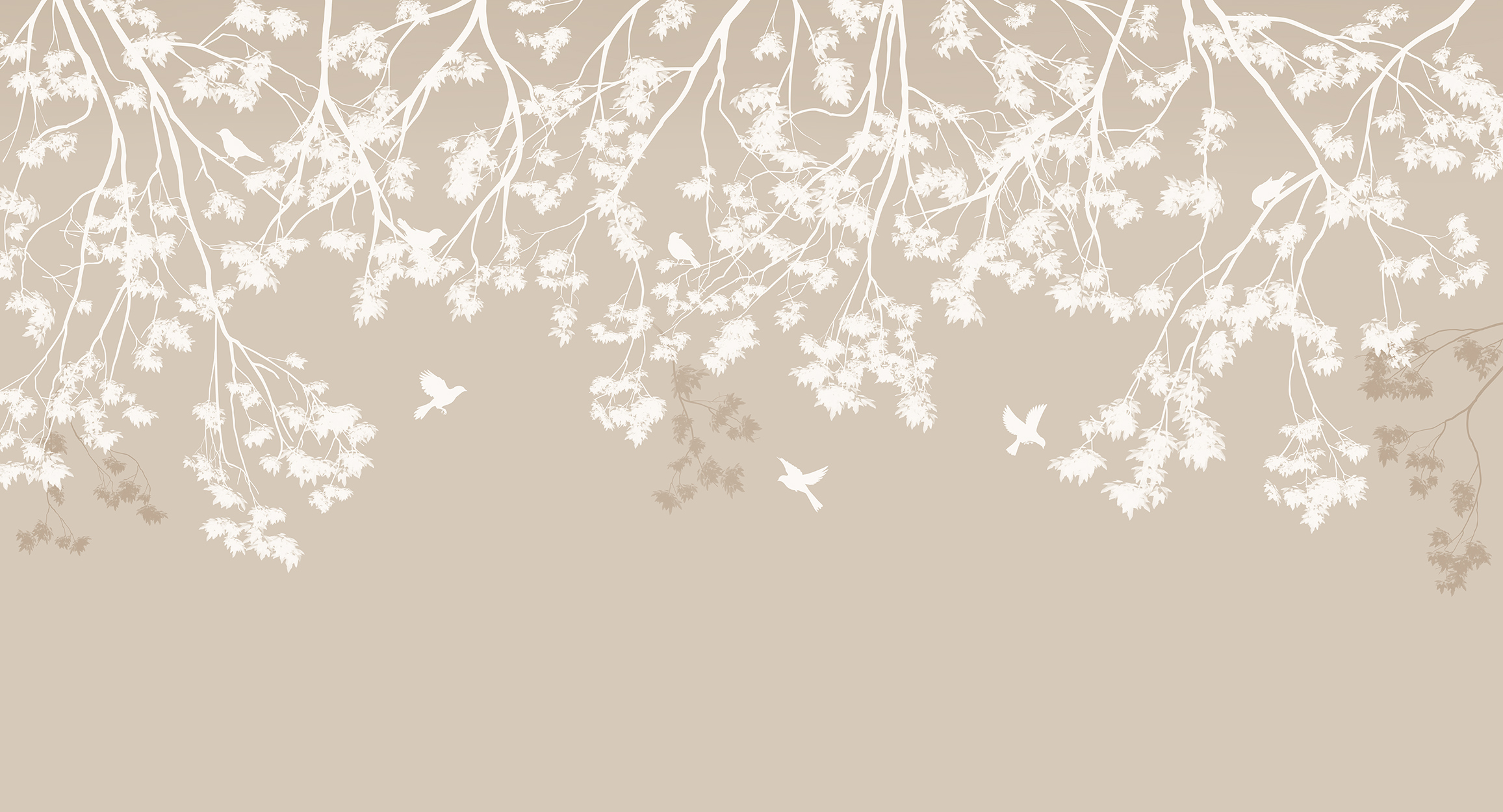 Patterns on concrete, beige