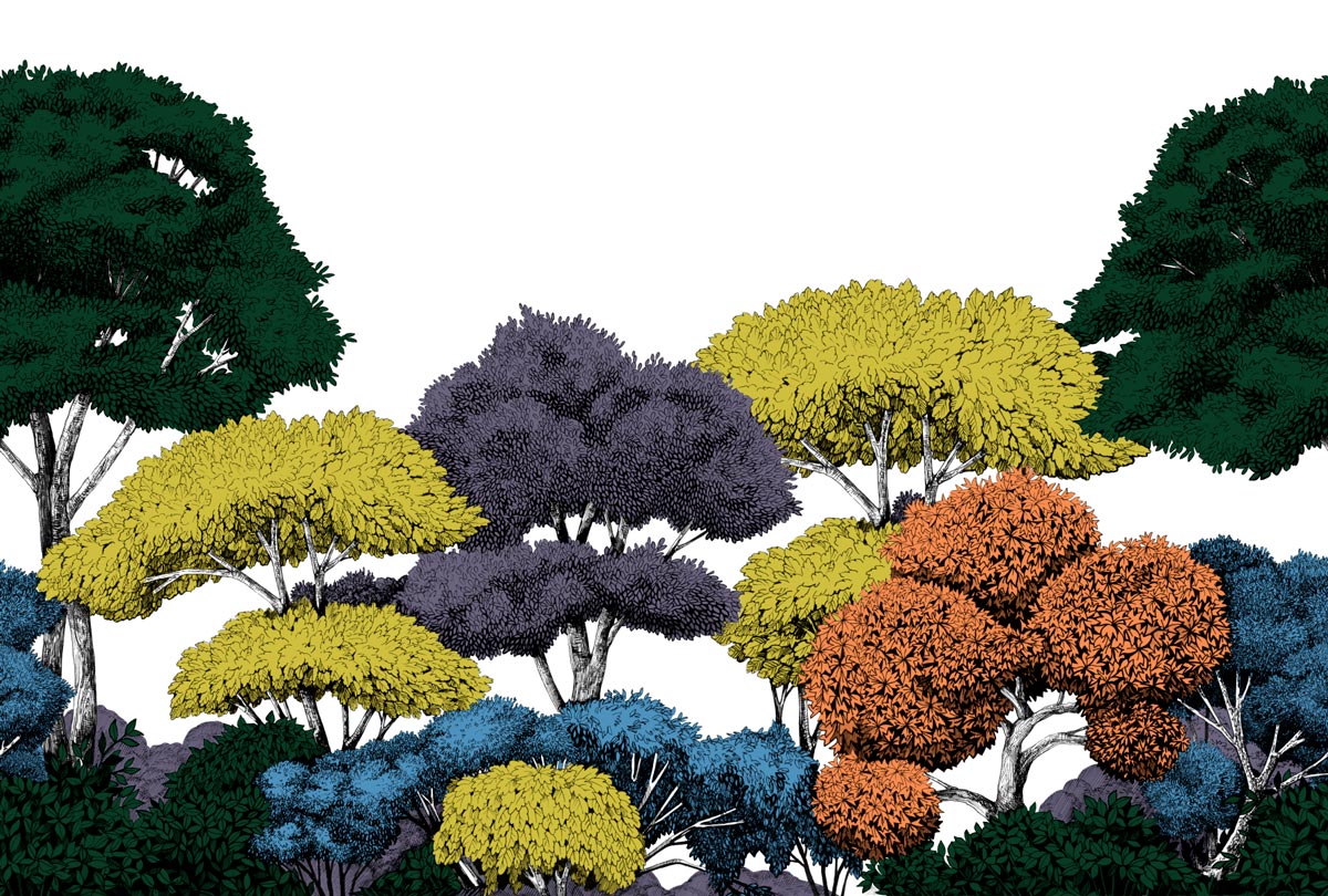 Фотообои Hyggewood, color