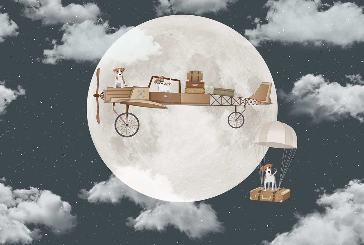 Фотообои Aviator, Nigth